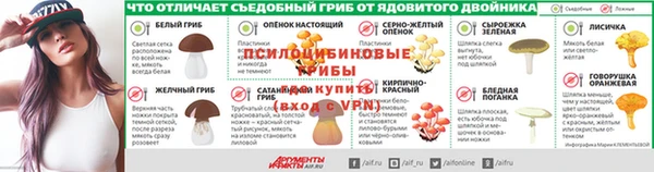 крисы Алексин