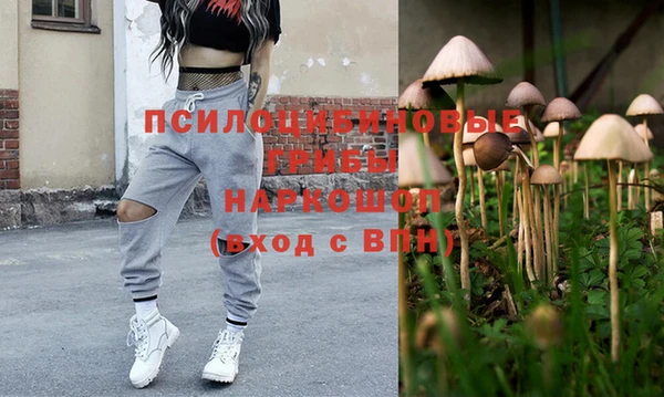 крисы Алексин