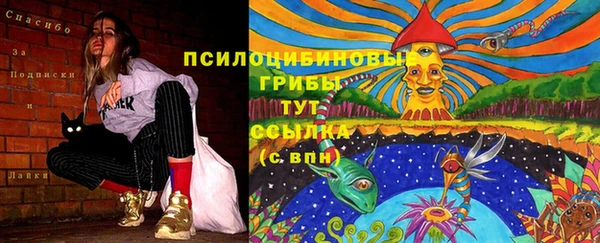 а пвп мука Алексеевка